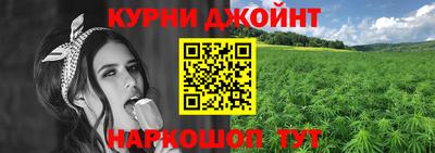 сатива Кунгур