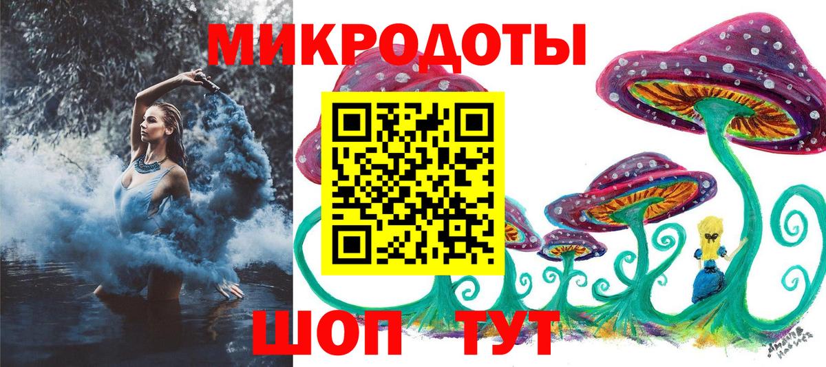 Псилоцибиновые грибы Psilocybe Димитровград