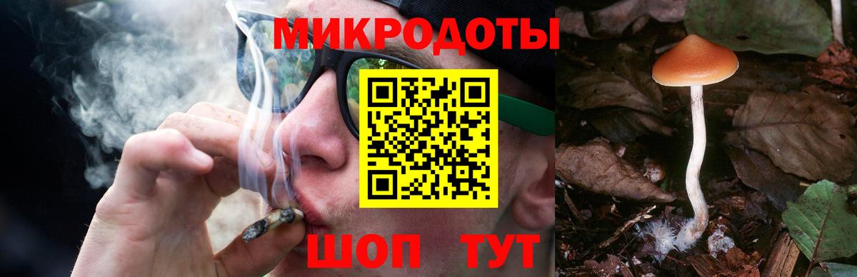 Димитровград  Псилоцибиновые грибы MAGIC MUSHROOMS  Вход с VPN 